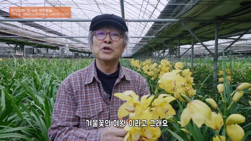 다 이루어질지니 5부